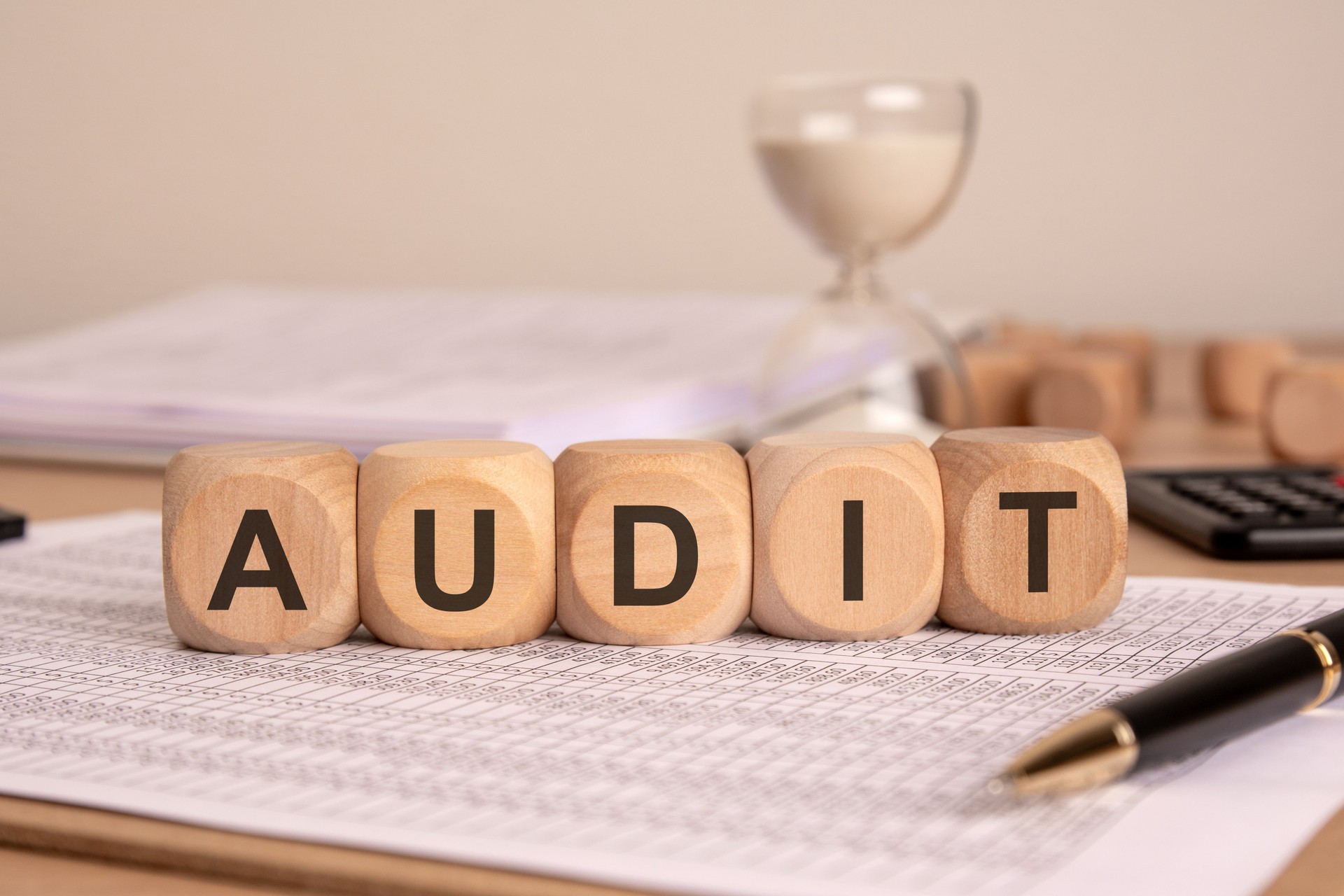 The Audit Process Key Elements Necessary for a Comprehensive Financial Review Analysis